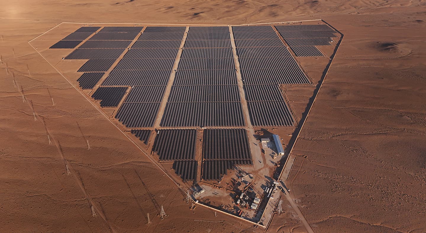 مامونيه جديد